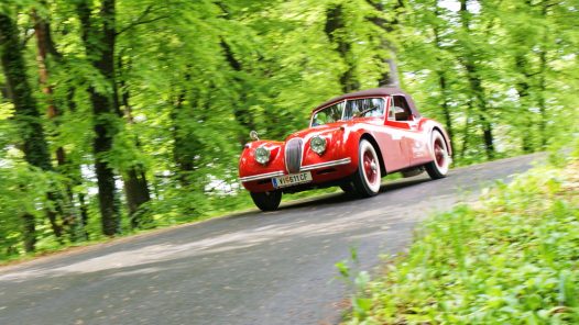 voiture-collection-Porsches
