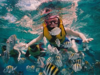 snorkeling