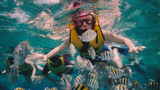 snorkeling