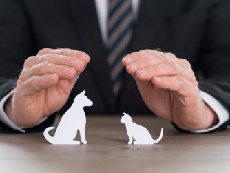 Courtire Assurance Animaux